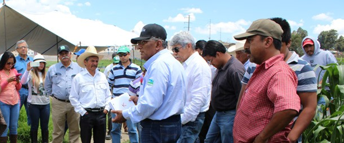 Logo Institucional 2